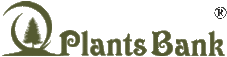 Plants Bank Shop